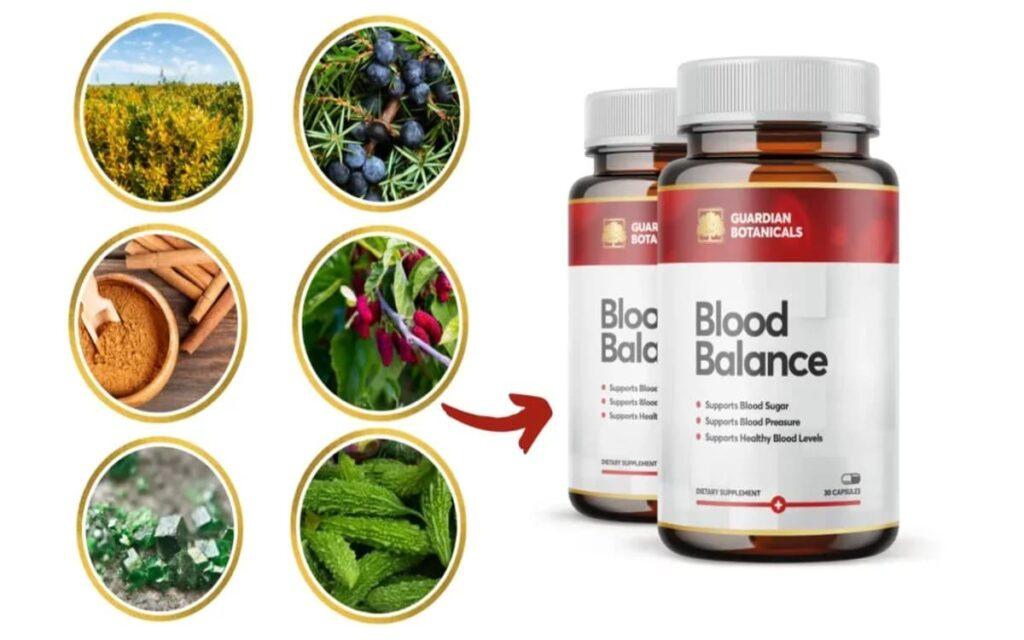 Guardian Botanicals Blood Balance ingredients